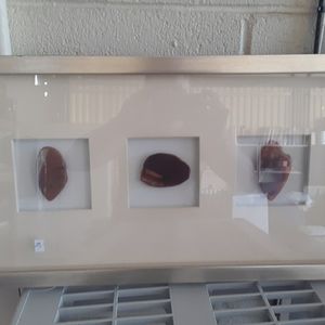 Framed Polished rocks